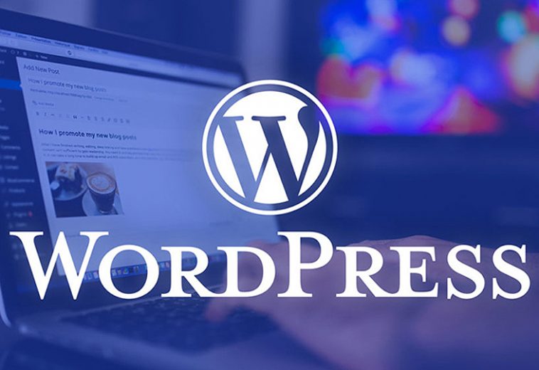 Why WordPress ?